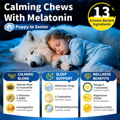POPPAW Dog Melatonin Chews packaging on shelf as natural calming option