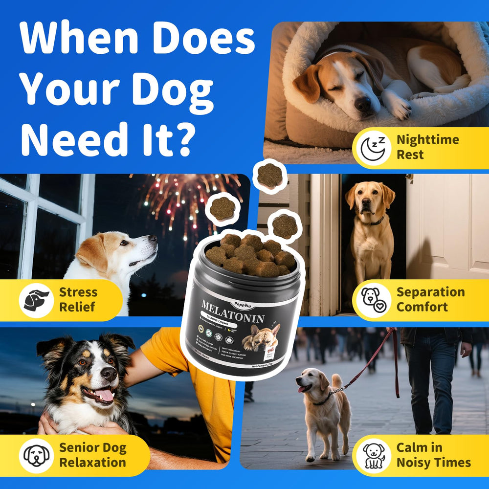POPPAW Dog Melatonin Chews shown during fireworks night for relaxed dogs