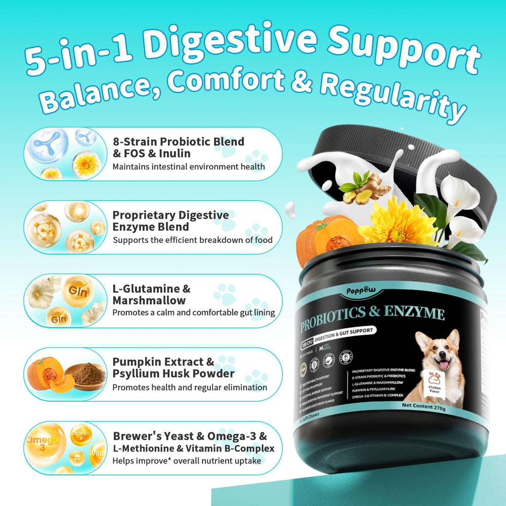POPPAW gut health formula emphasizing regular bowel function and comfort.