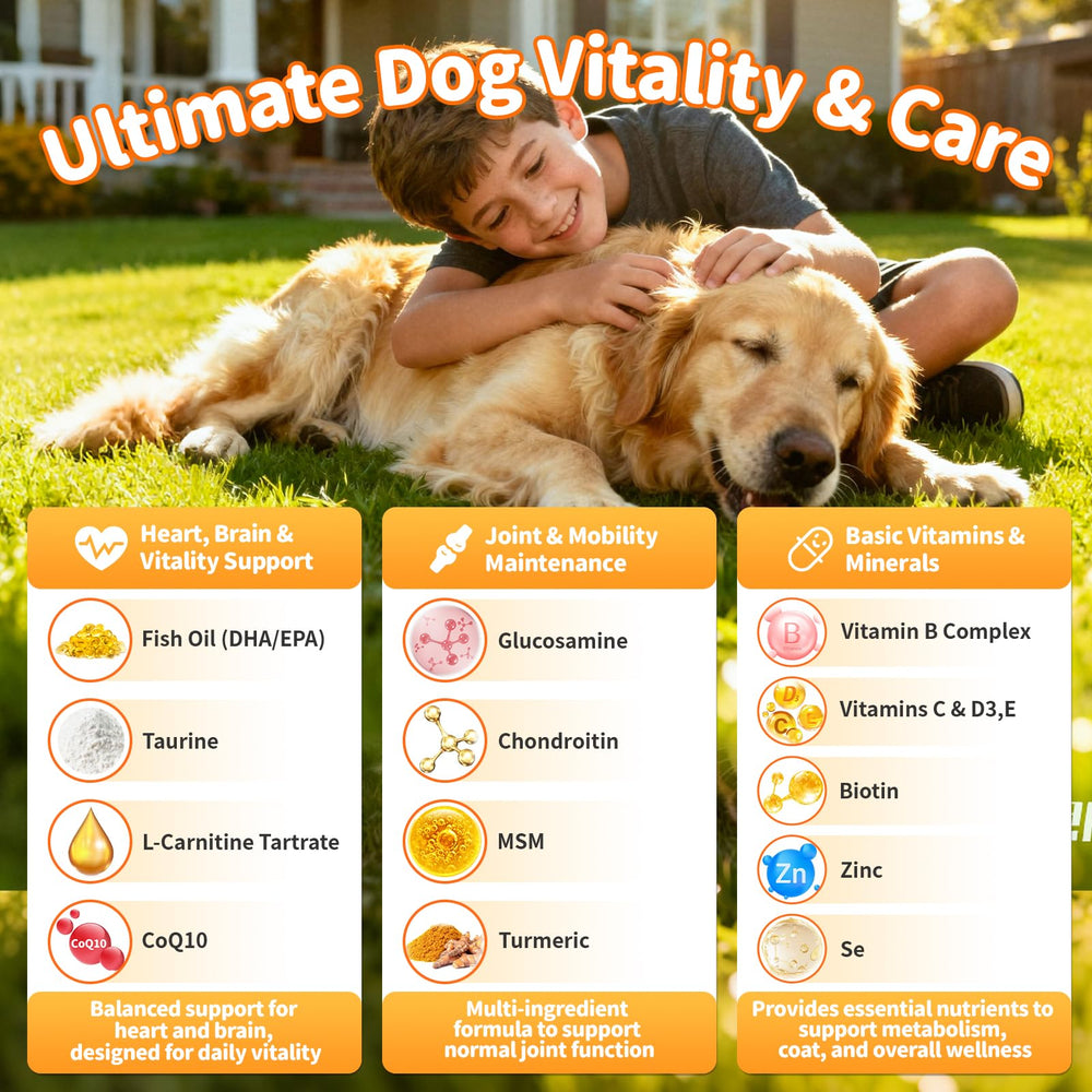 POPPAW joint-support chews with glucosamine MSM visual promoting mobility