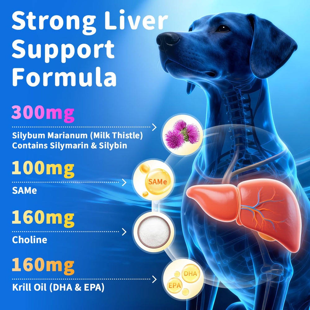 POPPAW krill oil supports brain health and vitality in seniors