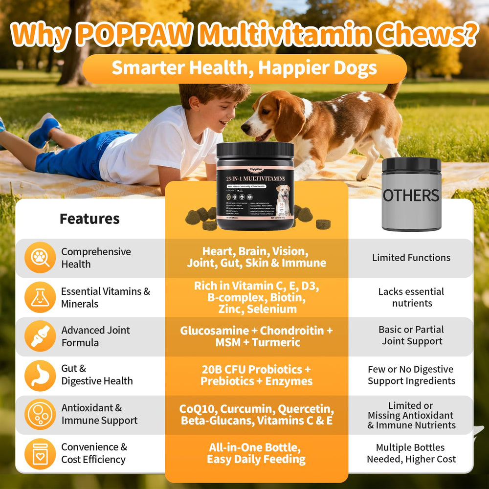 POPPAW omega-3 DHA/EPA image underscores coat nourishment and skin health benefits.