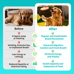 POPPAW prebiotics FOS and Inulin packet promoting healthy gut flora.