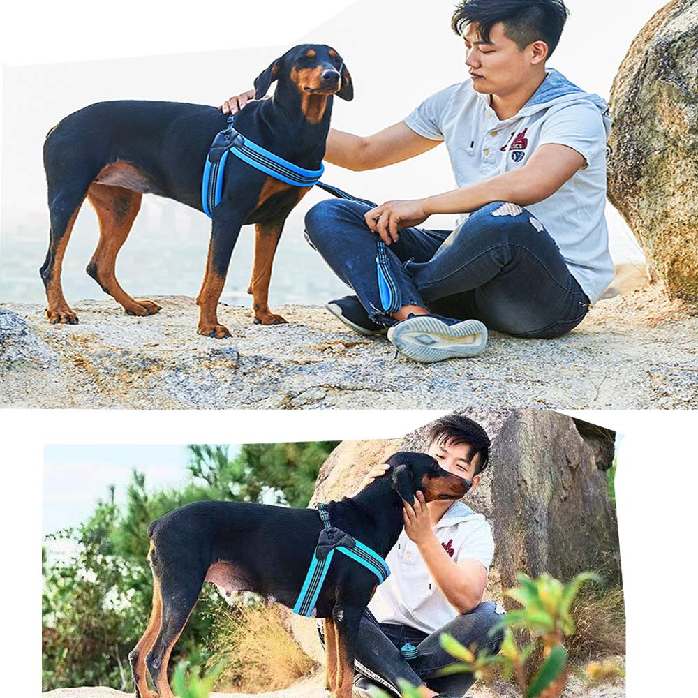 PORDLIE breathable quick-dry mesh keeps dogs cool after activity.