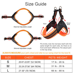 PORDLIE front-clip no-pull design helps guide your dog during walks.