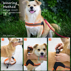 PORDLIE dog harness with reflective straps enhances safety at night