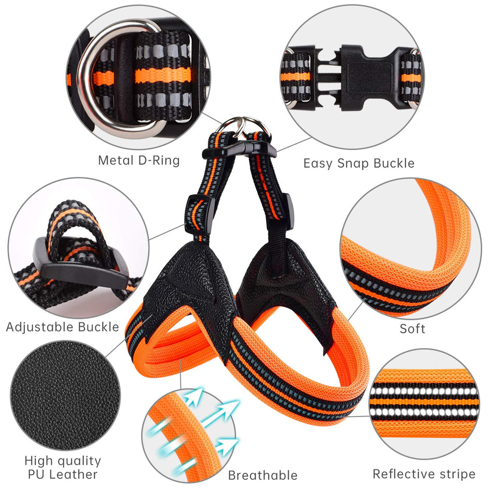 PORDLIE harness top buckle detail enables easy on/off and secure adjustment