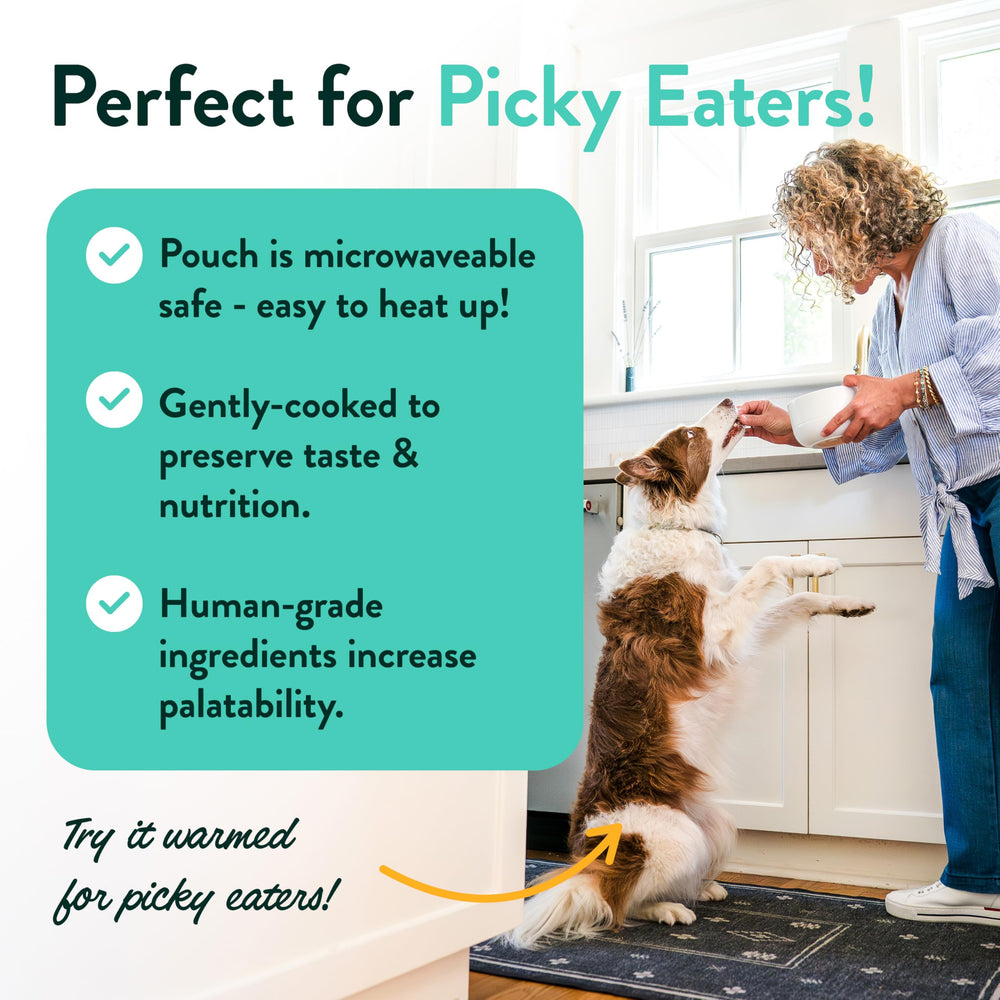 Portland Pet Food Company meals for dogs of all sizes.
