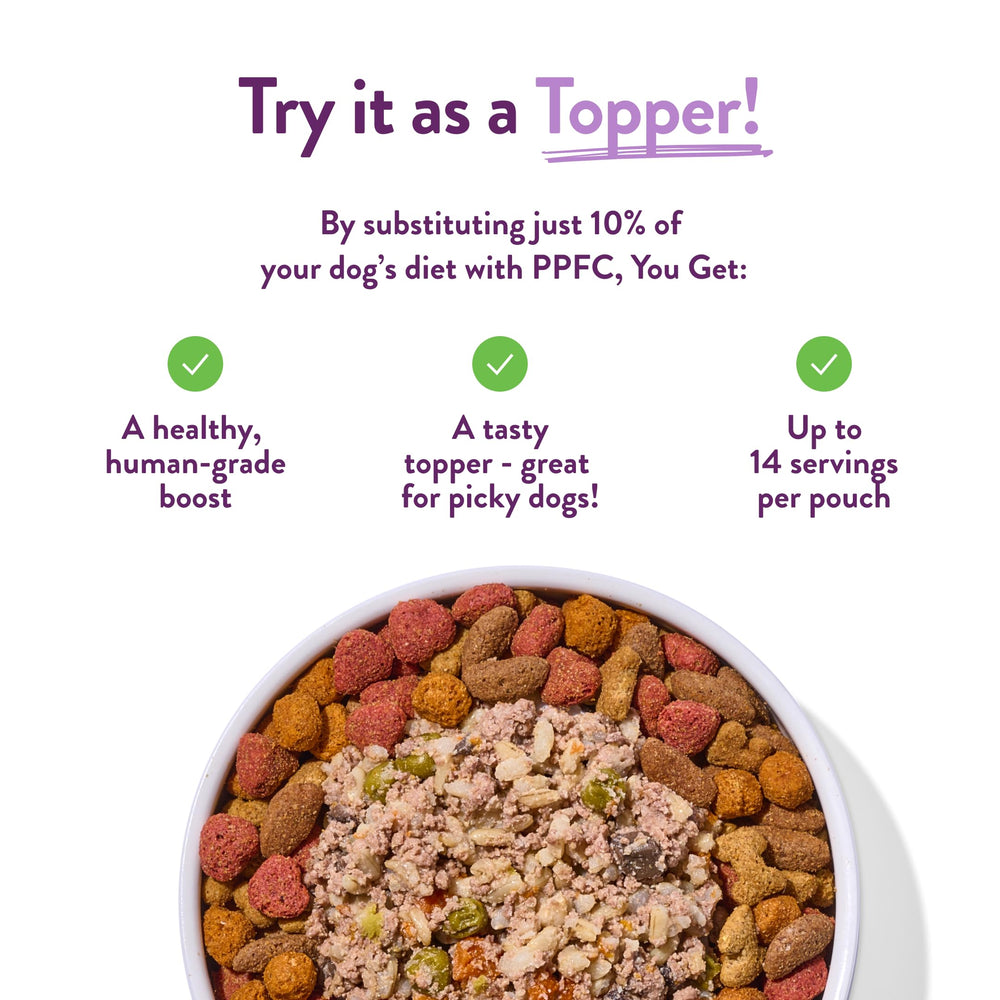 Portland Pet Food Company Winnie's Lamb N' Rice dog meal bowl demonstrates versatile serving.