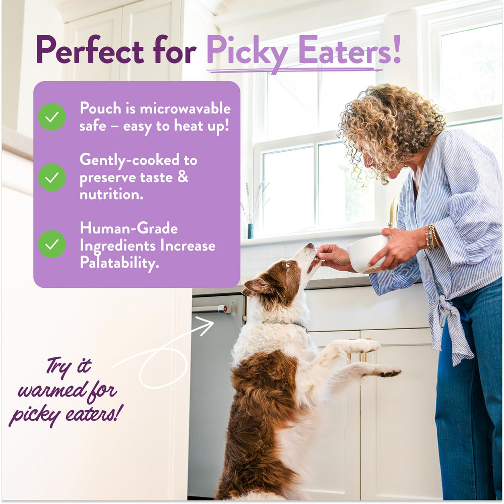 Portland Pet Food Company Winnie's Lamb N' Rice pouch open invites easy topping or mixing.