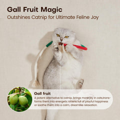 Potaroma indoor kitten play emphasizes exercise and self-entertainment through textured tassels