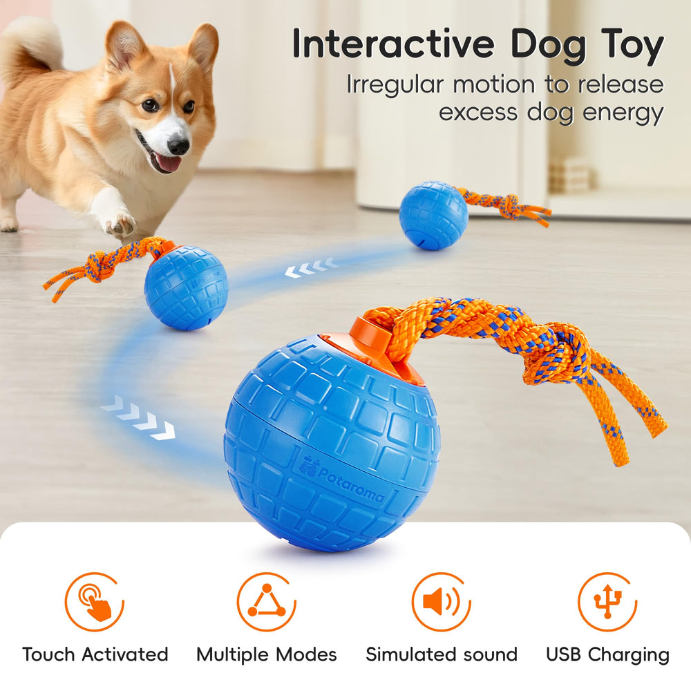 Potaroma Pelota interactiva con cuerda masticable para perros activos