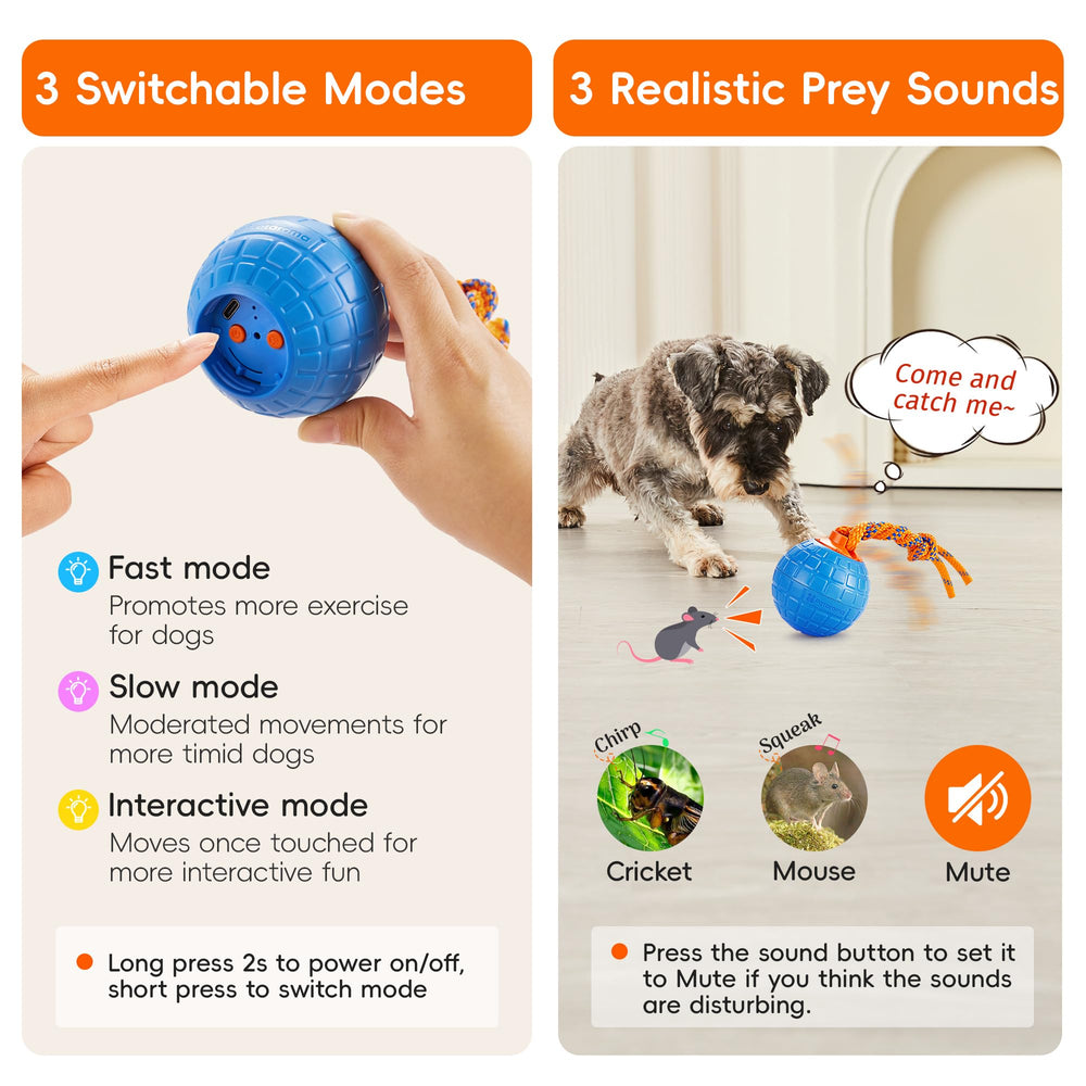 Potaroma Pelota interactiva ideal para cachorros y dueños ocupados