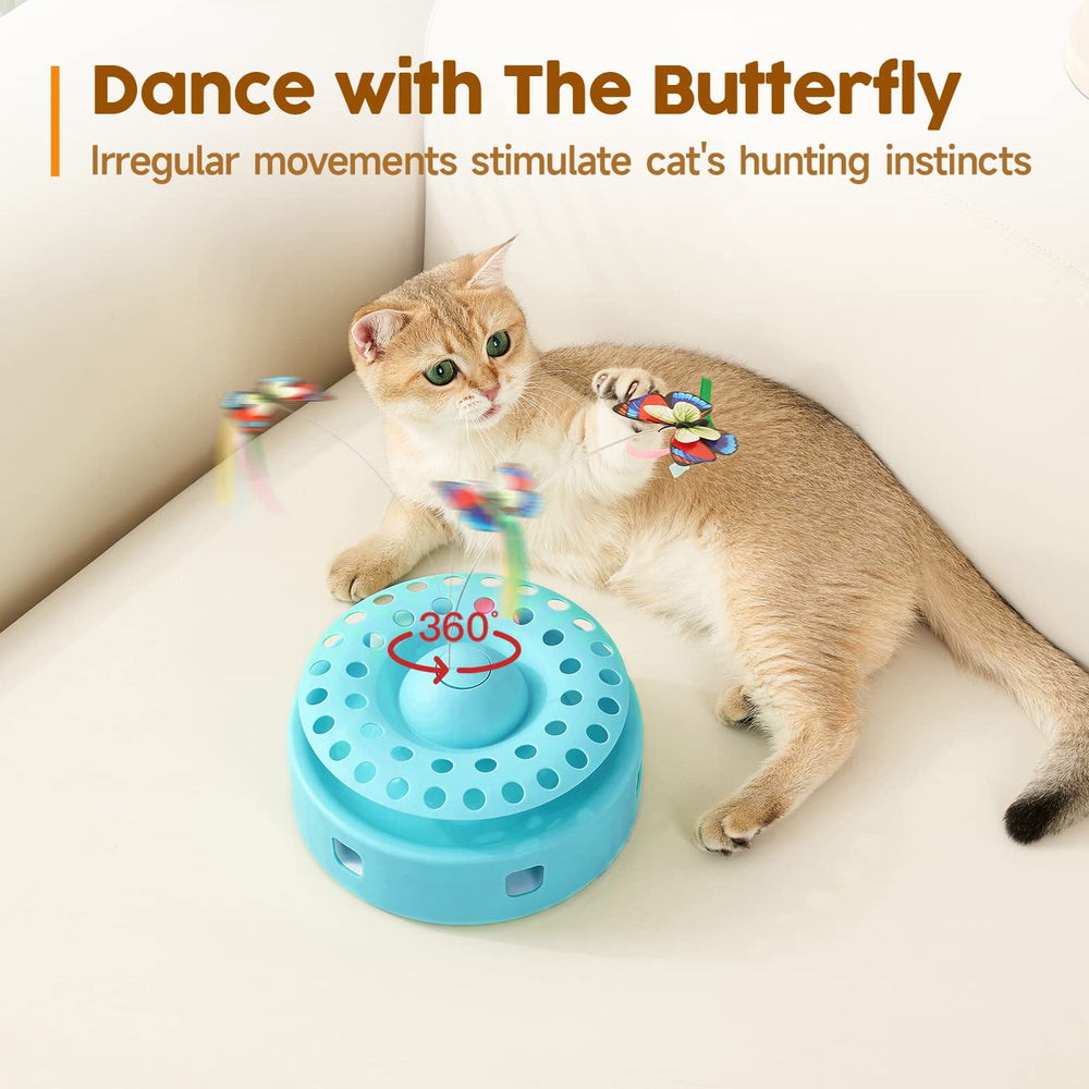 Potaroma track balls cat toy provides interactive chase along a track for exercise.
