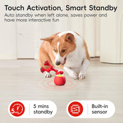 Potaroma USB Type-C rechargeable ball for extended play sessions