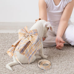Potchen bow-tie harness back-closure demonstrates secure, stylish fit