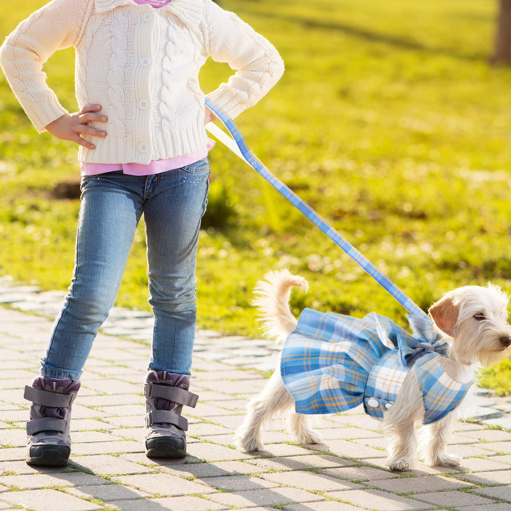Potchen leash with D-ring back design detail, secure walking