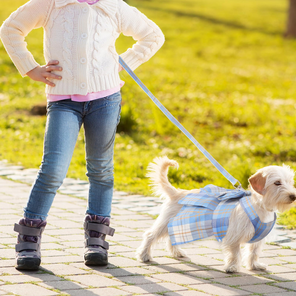 Potchen nylon leash with D-ring enables controlled walks