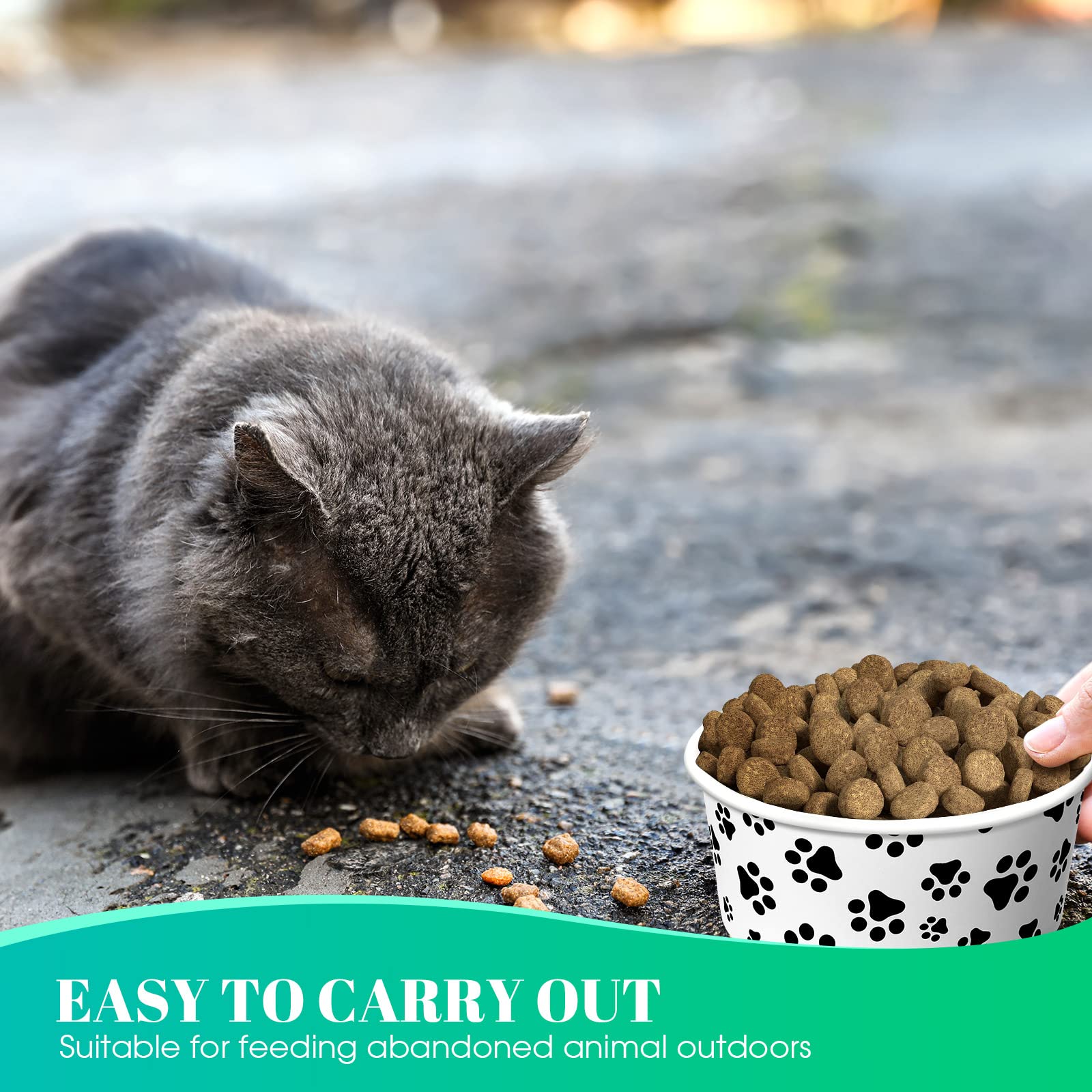 Potchen versatile bowls suitable for dogs, cats, and puppies at home or travel.