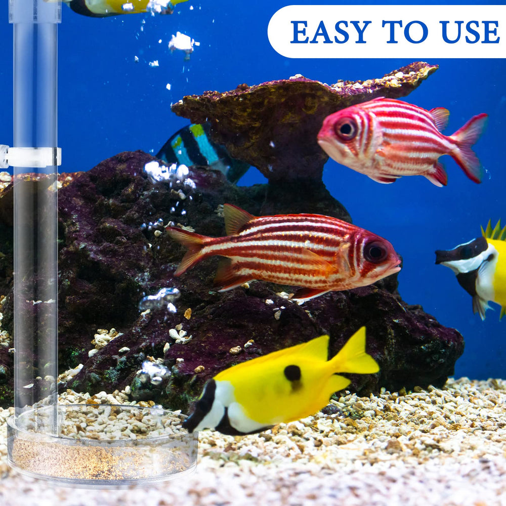 Potchen shrimp feeder clear tank view showcases transparent acrylic for easy monitoring.