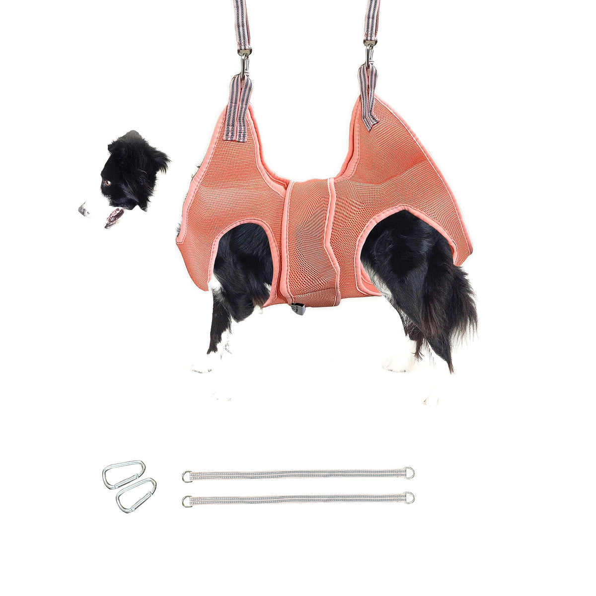 Potens' Pet grooming hammock overview shows calm, controlled nail trimming setup.