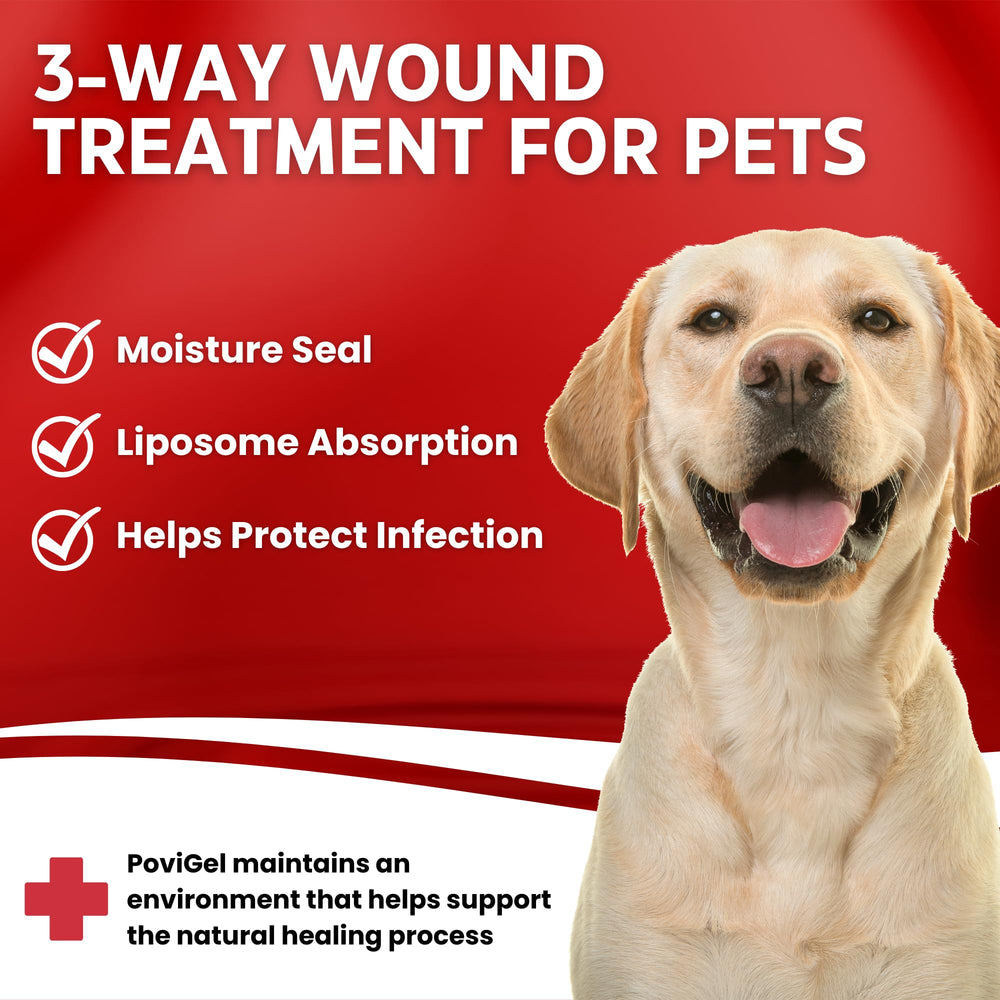 PoviGel hydrogel moisture-retaining closeup demonstrates a hydrated healing environment for pets