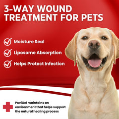 PoviGel hydrogel moisture-retaining closeup demonstrates a hydrated healing environment for pets