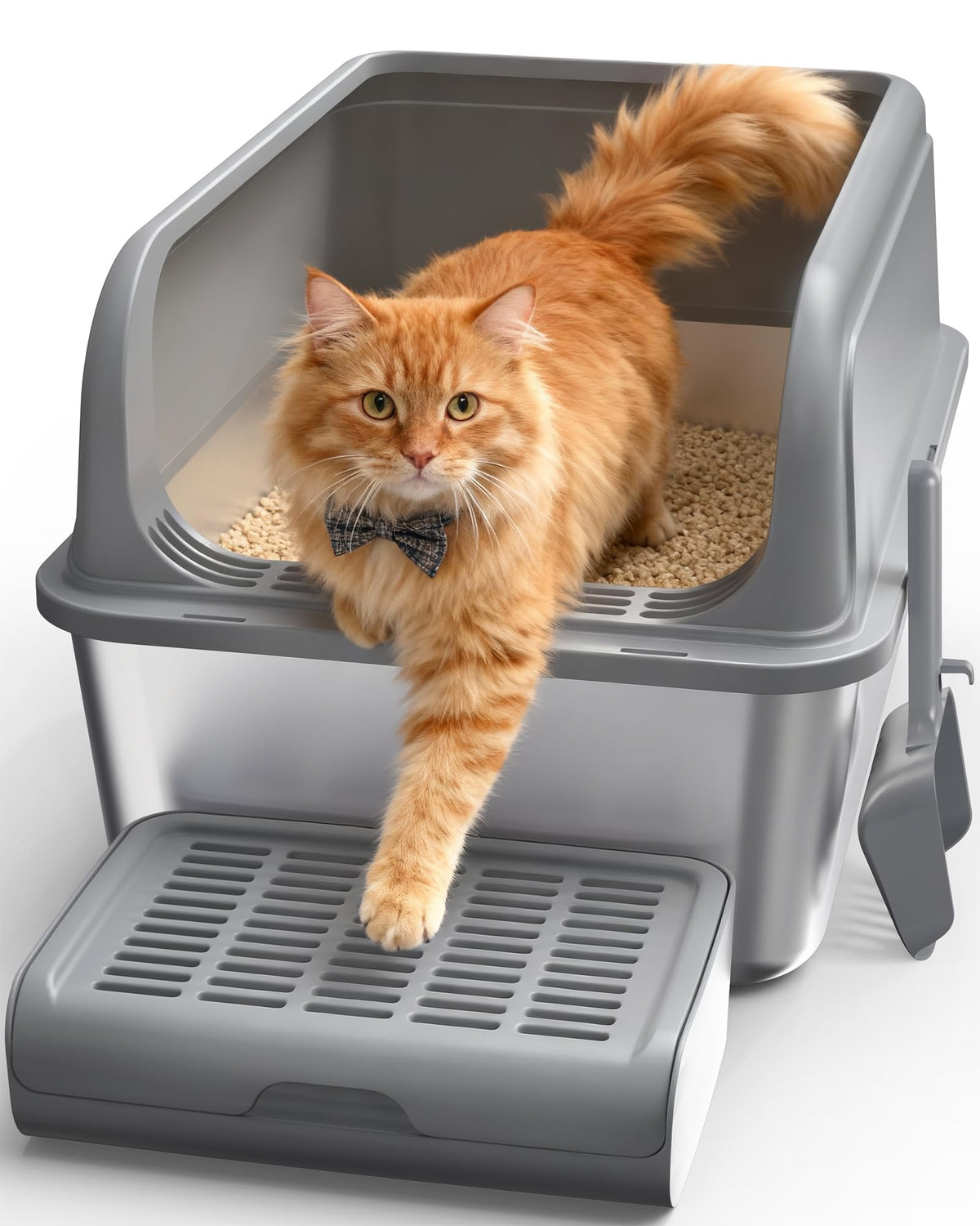 Powools cat litter box top view with roomy entry for easy scooping.