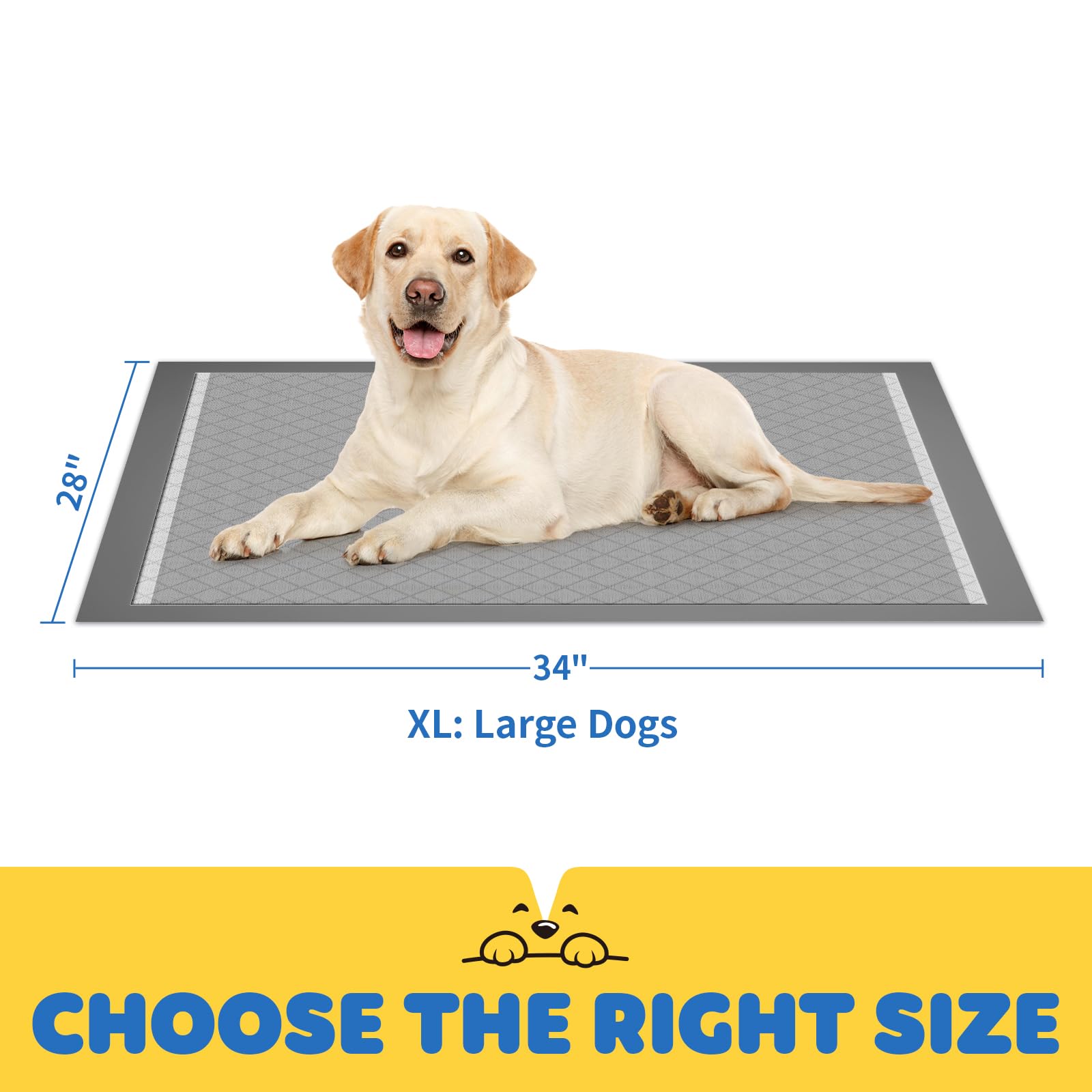 Powools pads at home for sick dogs and extended indoor use.