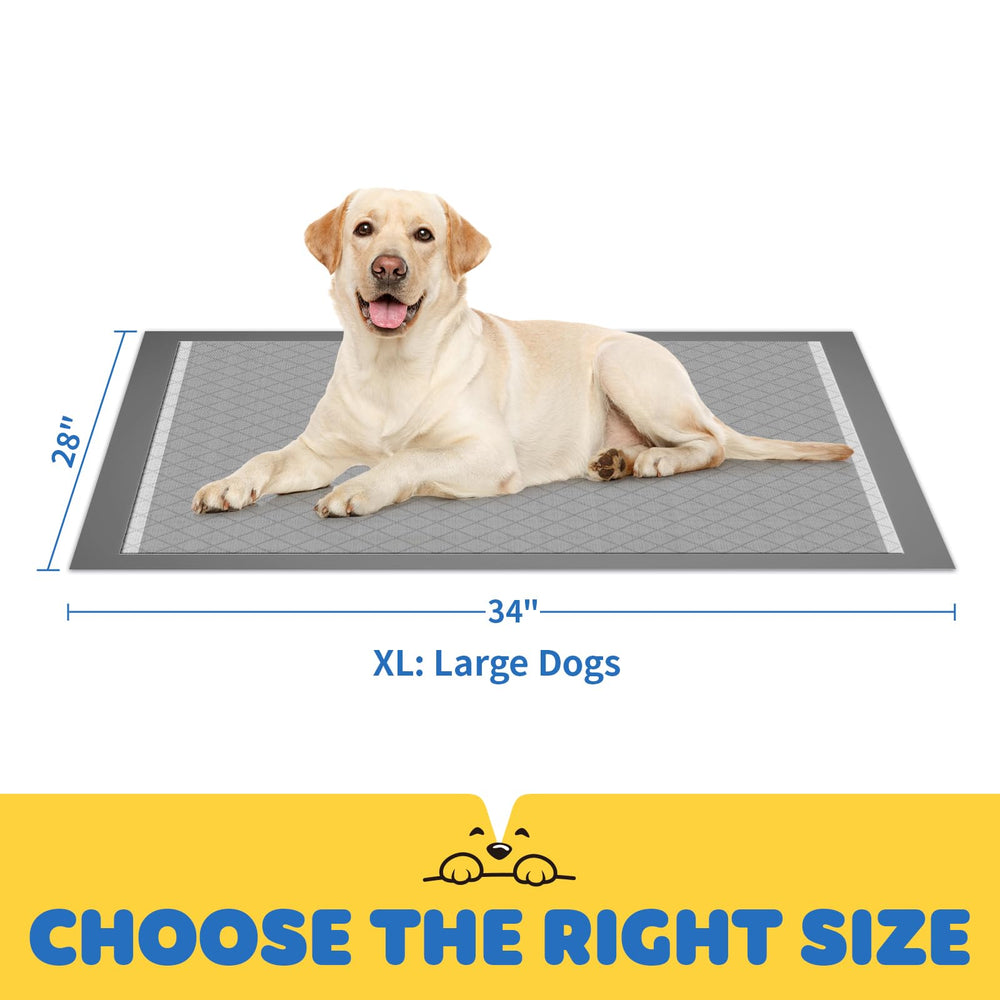 Powools pads at home for sick dogs and extended indoor use.