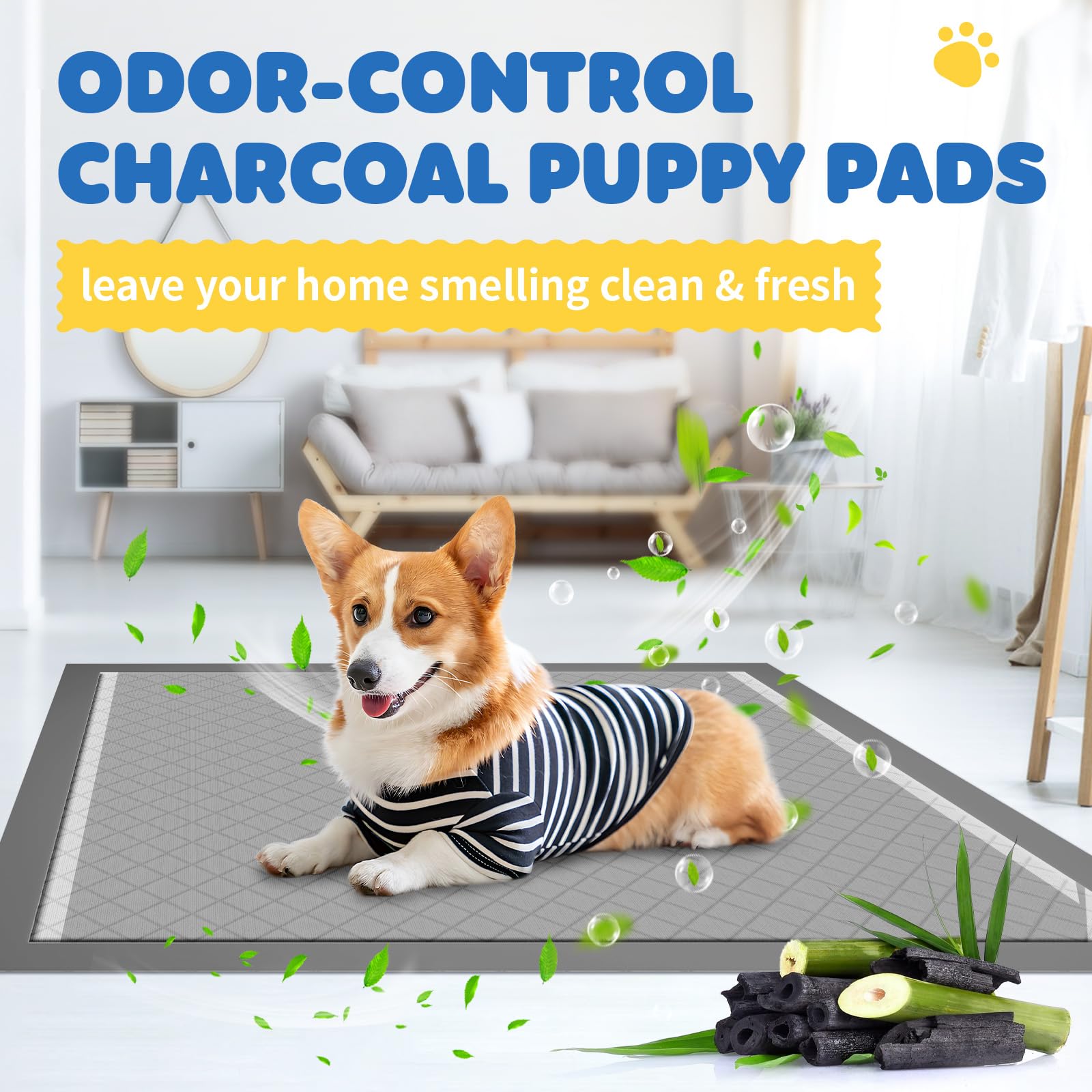 Powools potty-spot pheromone pads feature image suggests easier house training.