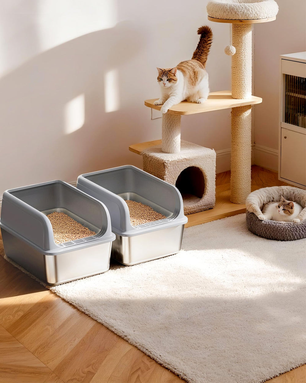 Powools two-pack with scoops hanging on rim.