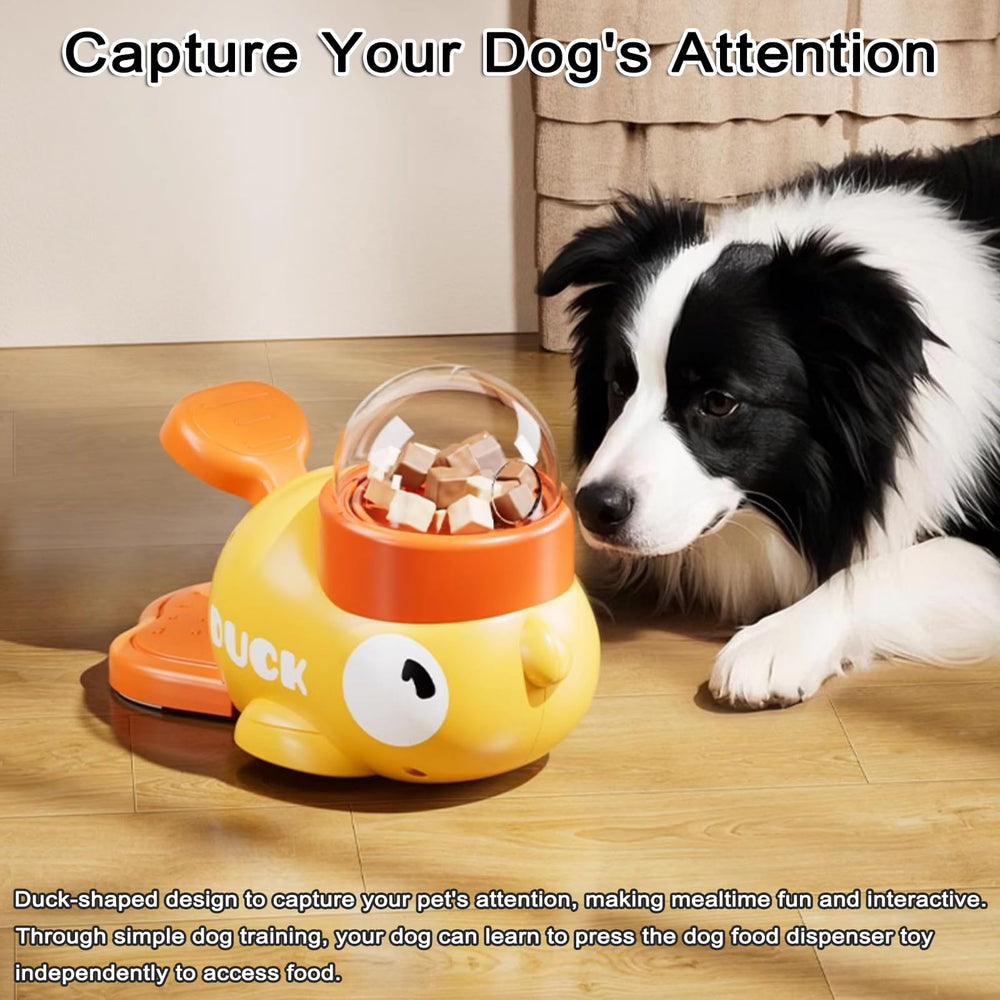POYIPI slow feeder for dogs keeps mealtime calm and digestion-friendly