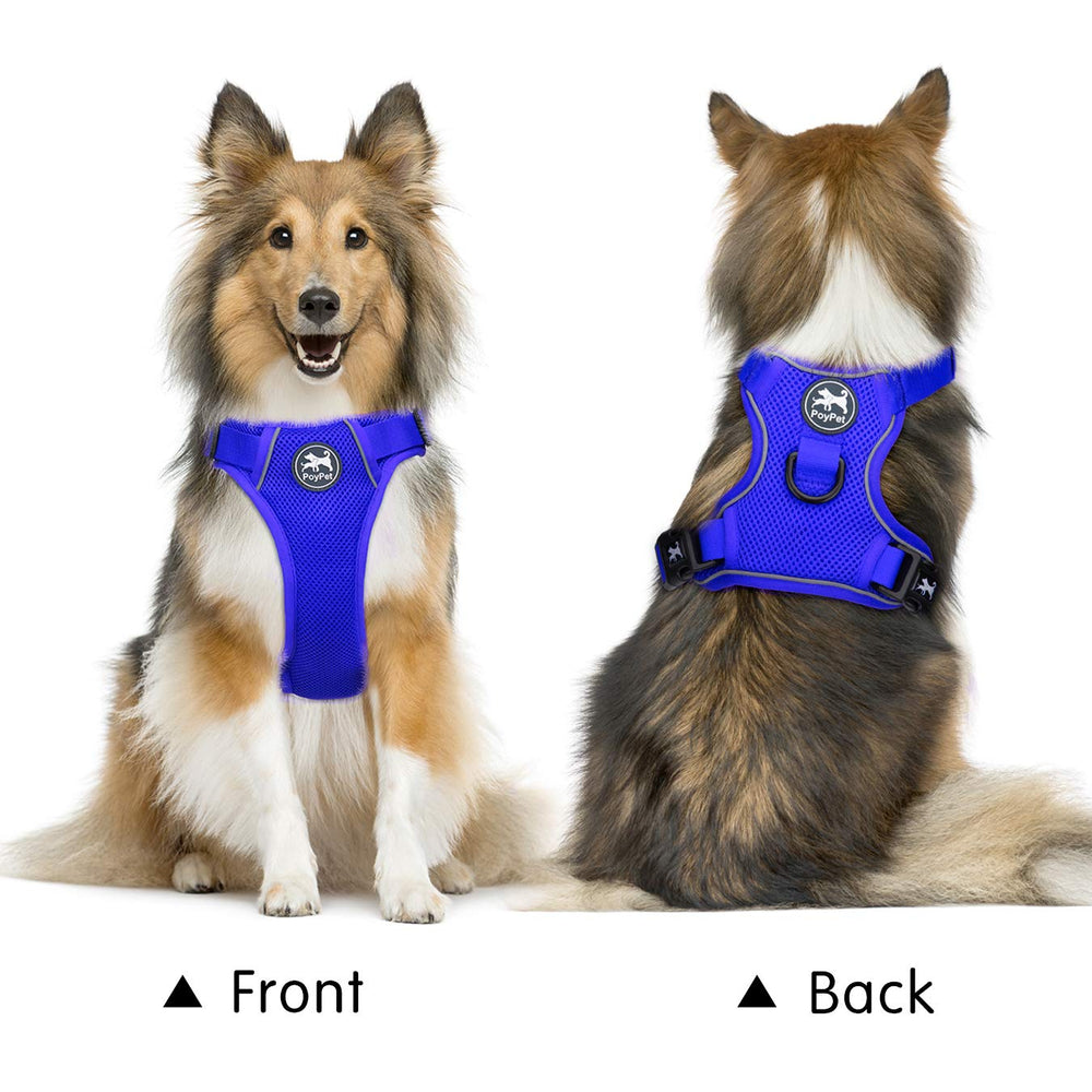 PoyPet adjustable neck and chest harness shows royal blue with buckles for a customizable fit.