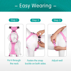 PoyPet adjustable strap and buckle for secure, customized fit.