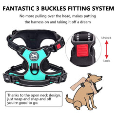 PoyPet adjustable straps four-way close-up for growing dogs.