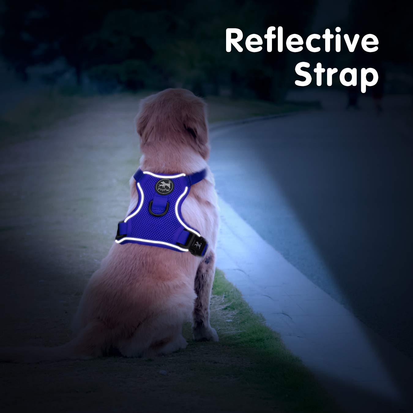 PoyPet all-weather air mesh keeps dogs cool and comfortable year-round.