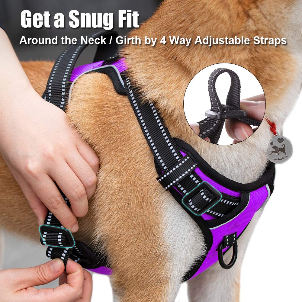PoyPet asa de control ergonómica para guiar con seguridad.