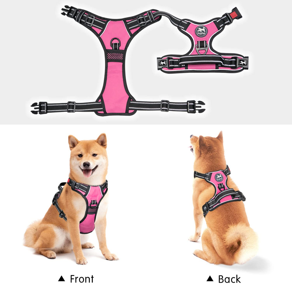PoyPet front clip discourages pulling while back clip supports relaxed walks.