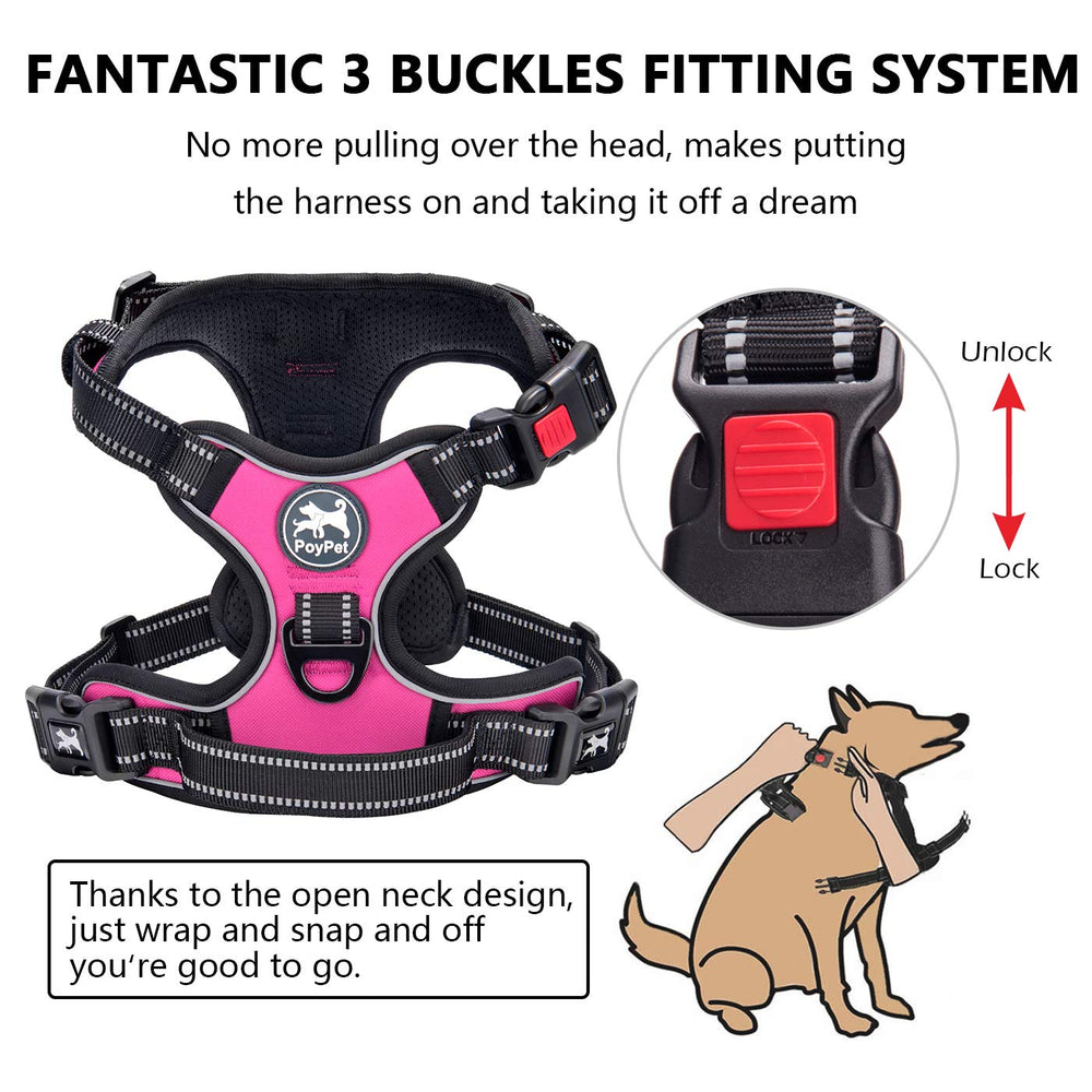 PoyPet No Pull harness back clip for controlled rear-leash handling.
