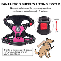 PoyPet No Pull harness back clip for controlled rear-leash handling.