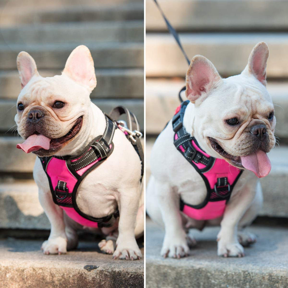 PoyPet No Pull harness quick-snap neckline enables fast dressing.