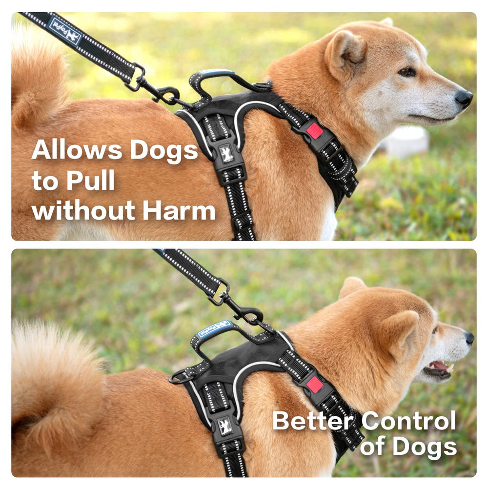 PoyPet No Pull Harness three leash hooks for flexible training.