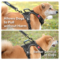 PoyPet No Pull Harness three leash hooks for flexible training.