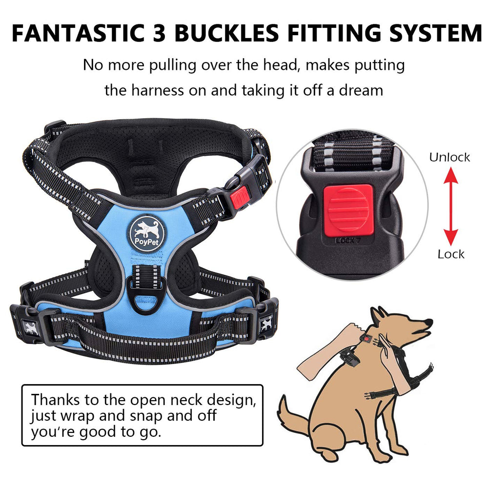 PoyPet No Pull Harness back clip for relaxed walking and loose leash