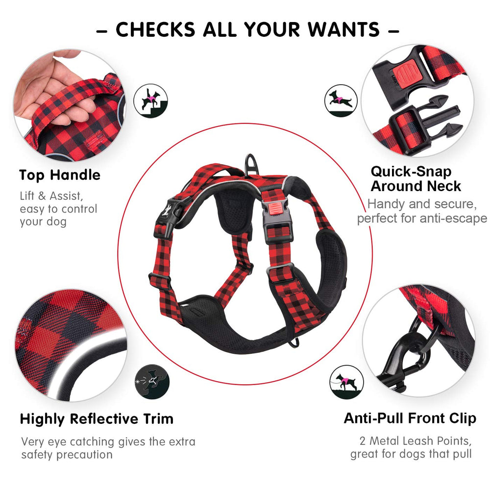 PoyPet no-pull harness back clip and soft handle aids gentler daily training.