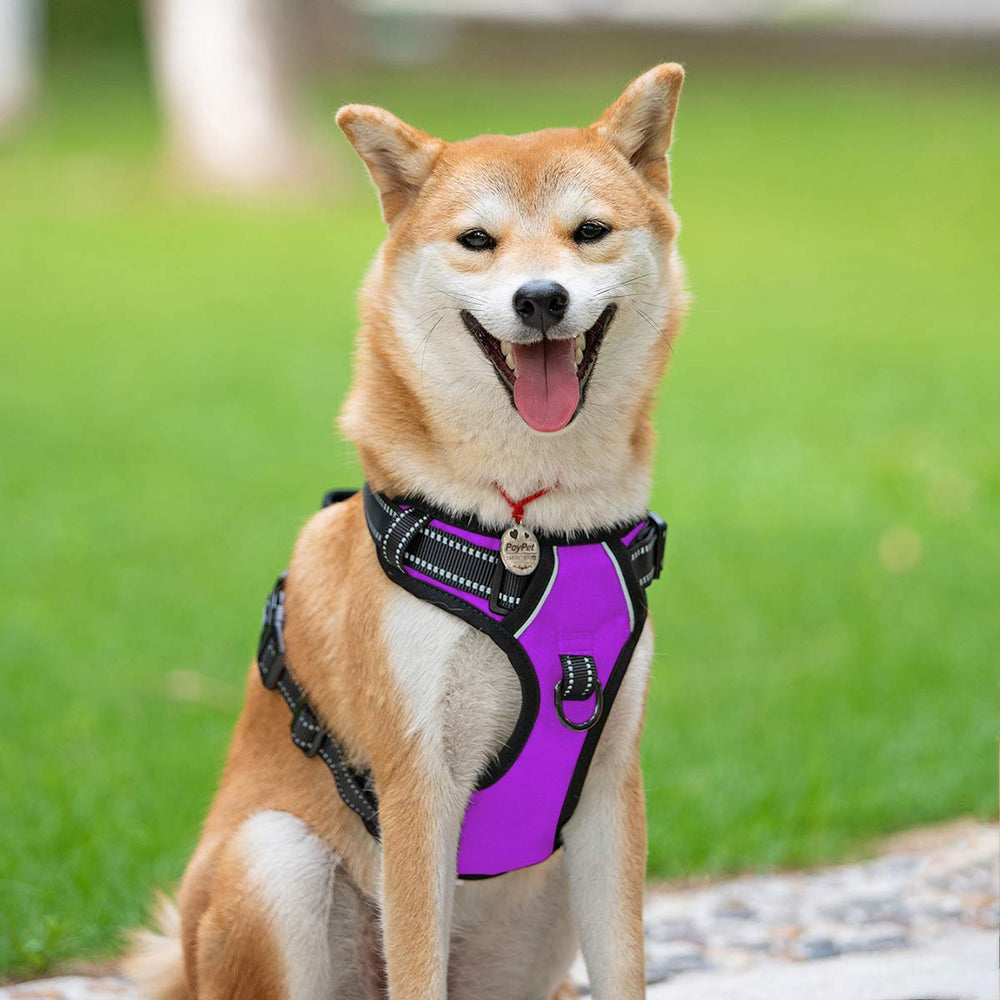 PoyPet No Pull Harness back clip enables relaxed, loose-leash walks