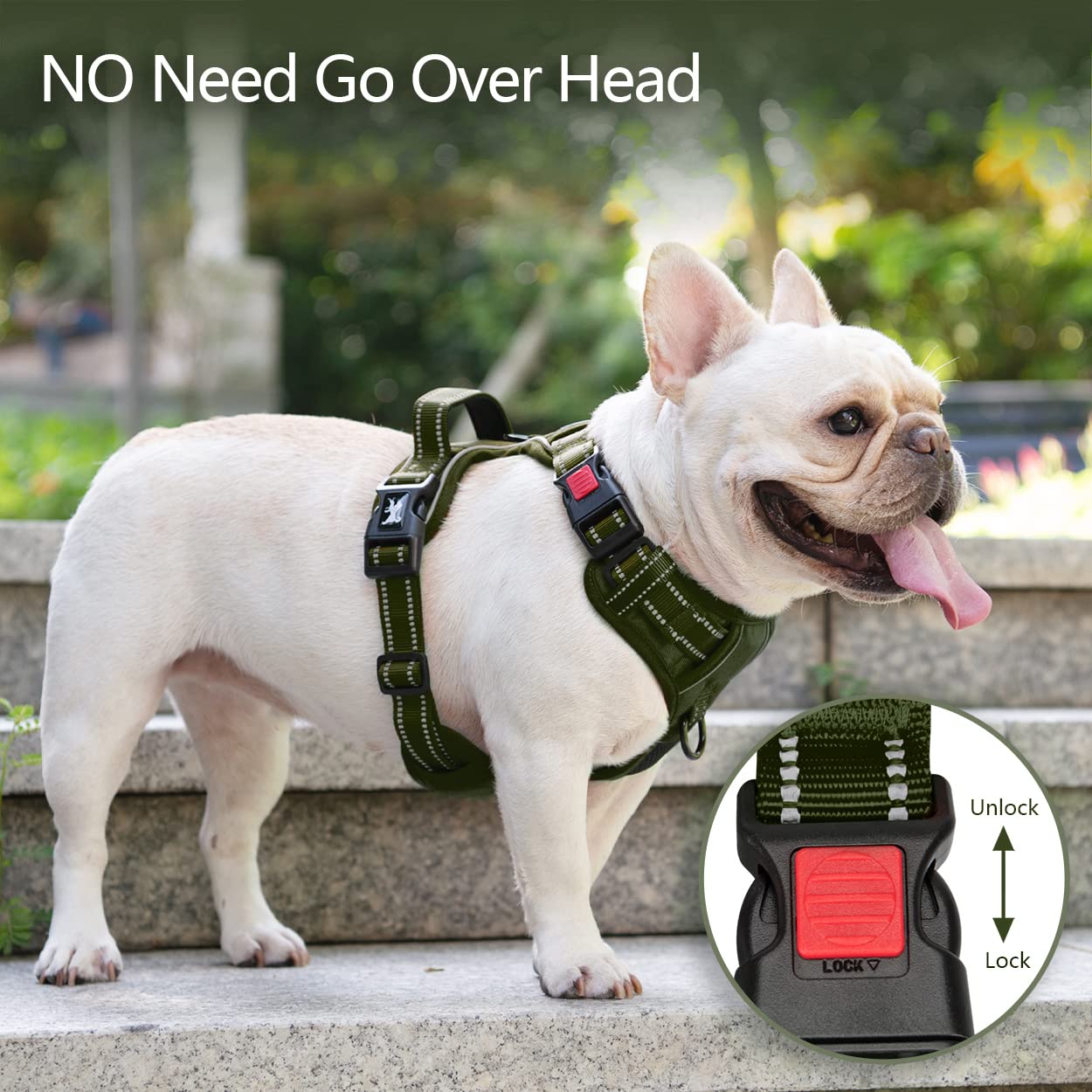 PoyPet No Pull Harness back D-ring for casual walks and everyday outdoor adventures.