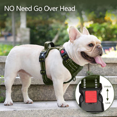 PoyPet No Pull Harness back D-ring for casual walks and everyday outdoor adventures.