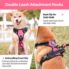 PoyPet no-pull harness back-leash view for relaxed daily walks.